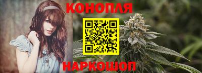 индика Ставрополь