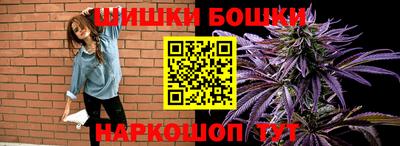 индика Ставрополь