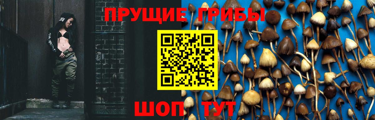 Псилоцибиновые грибы Psilocybine cubensis  Псилоцибиновые грибы MAGIC MUSHROOMS  цены   Вход с VPN  Сатка 